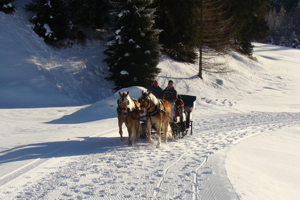 Alpin Art & Naudererhof Superior 4*