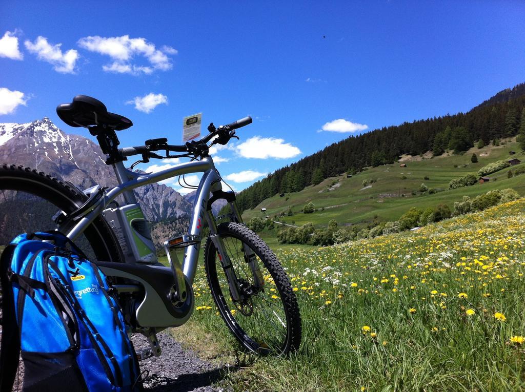 Alpin Art & Naudererhof Superior 4* Nauders